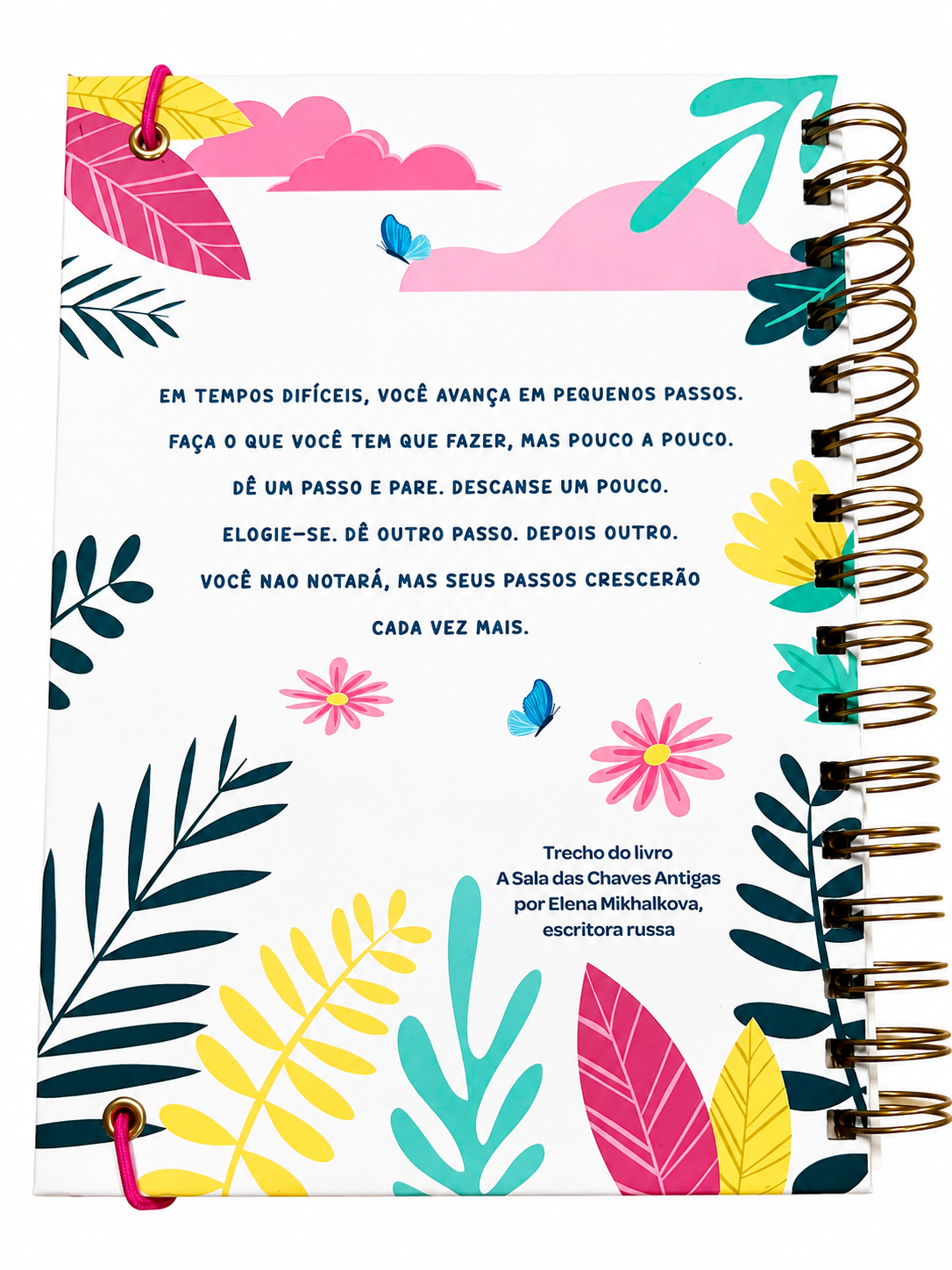 Onco Planner - Imagem 10